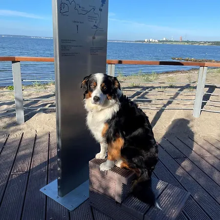 Sonnendeck / 3 Zi.-fewo Mit Meerblick In Toplage